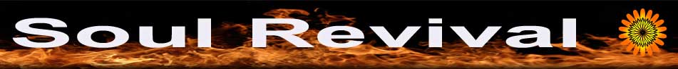 **SoulRevival**